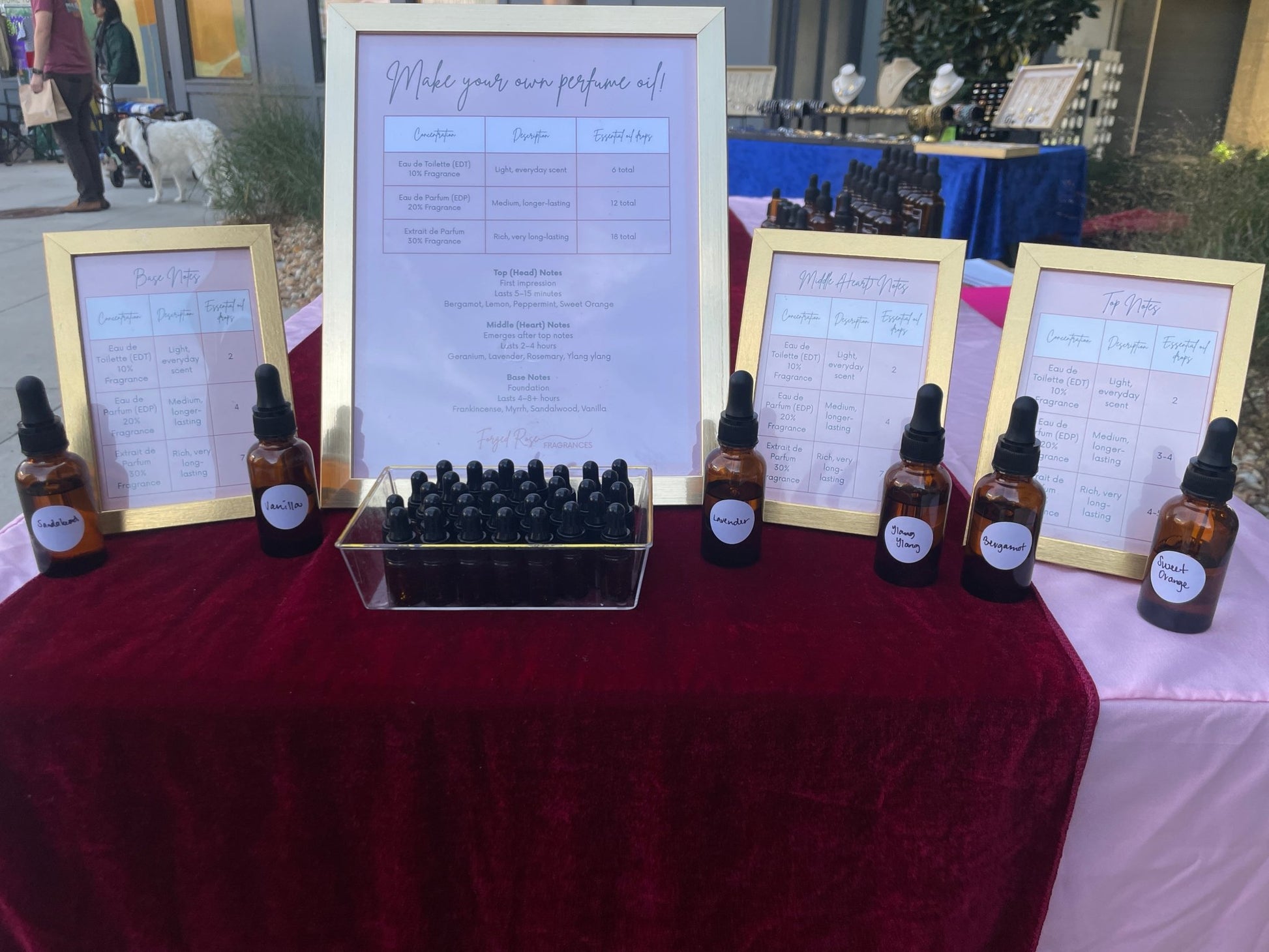 DIY Sip & Scent Perfume Oil Bar Kit - Forged Rose Fragrances