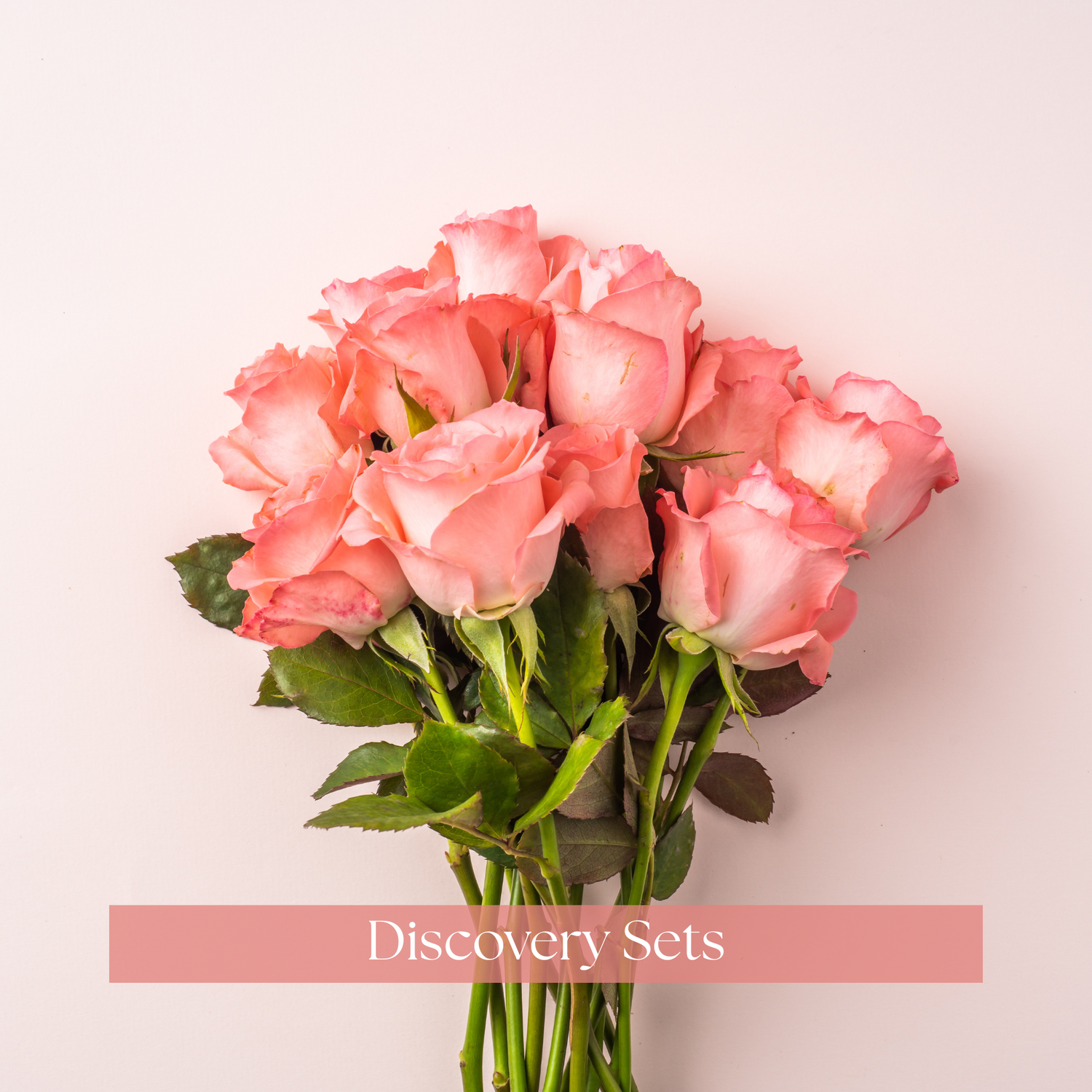 Discovery Sets - Forged Rose Fragrances