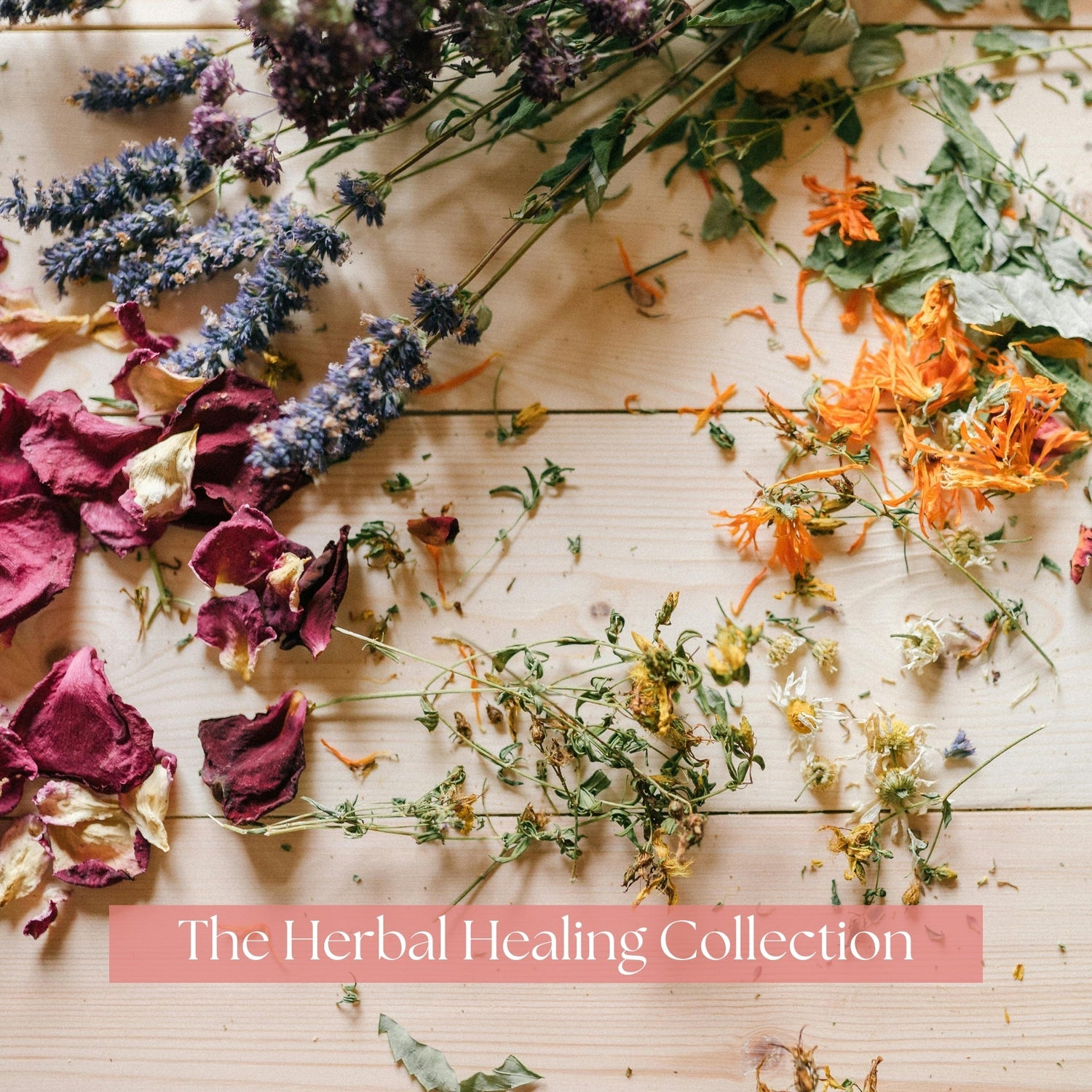 The Herbal Healing Collection - Forged Rose Fragrances