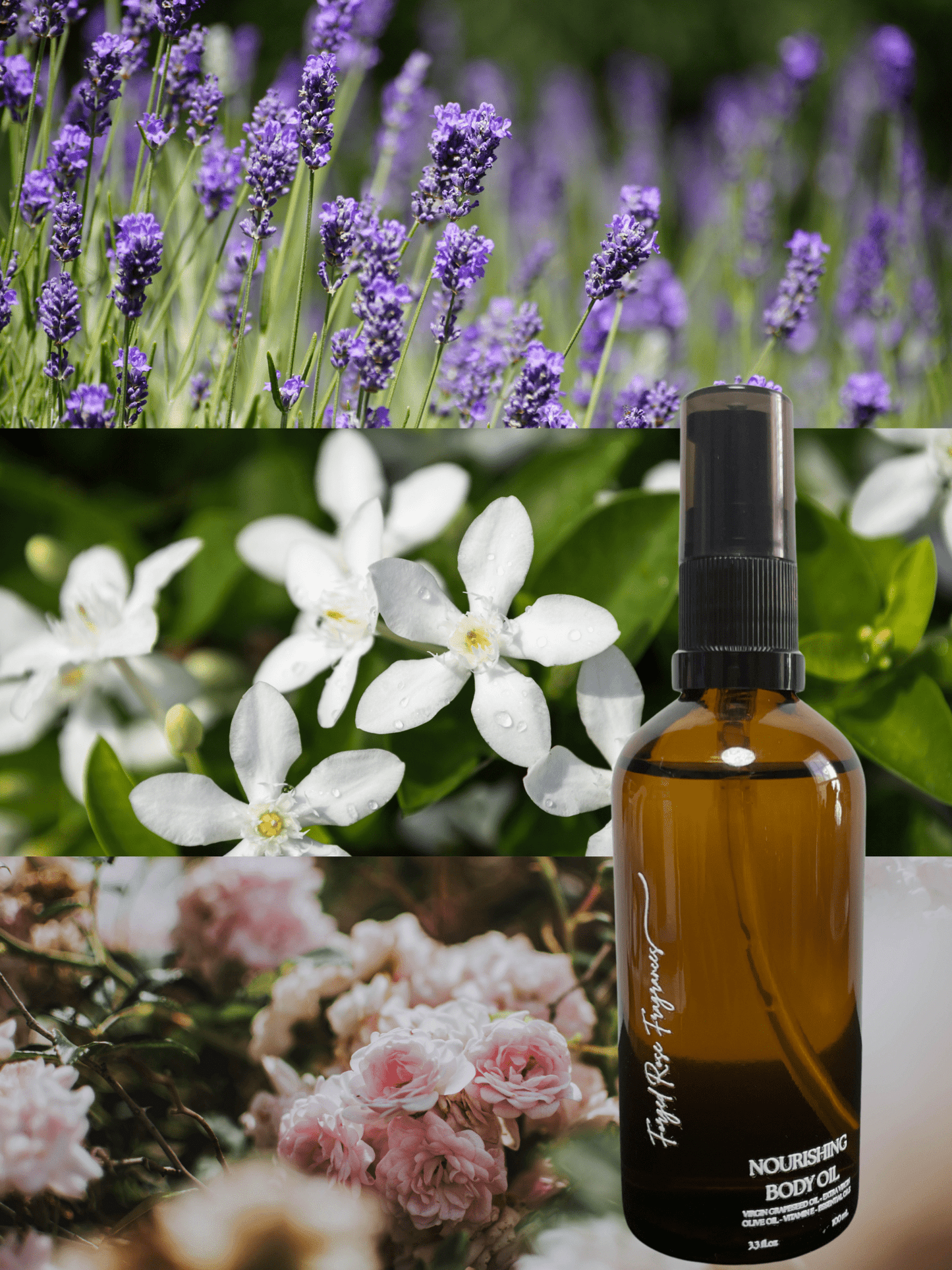 In Bloom Fragrance Oil - Forged Rose Fragrances